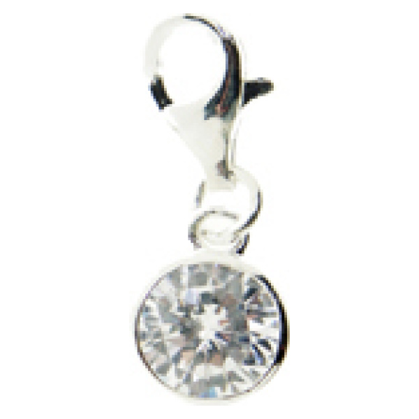 Silver Charm-Rnd Clear Crystal